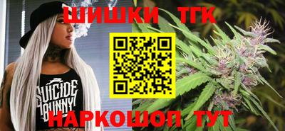МДПВ Новозыбков