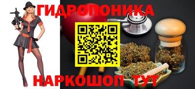 прущие грибы Новодвинск
