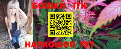 МДПВ Новозыбков