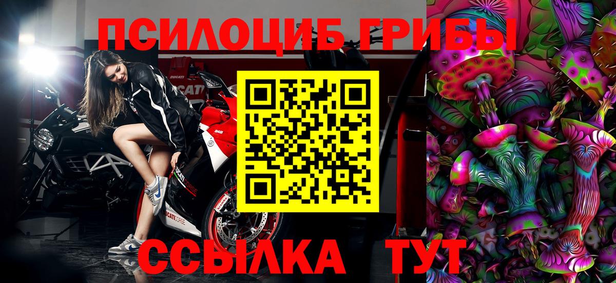 Славгород  Псилоцибиновые грибы прущие грибы  цена   Вход с VPN 