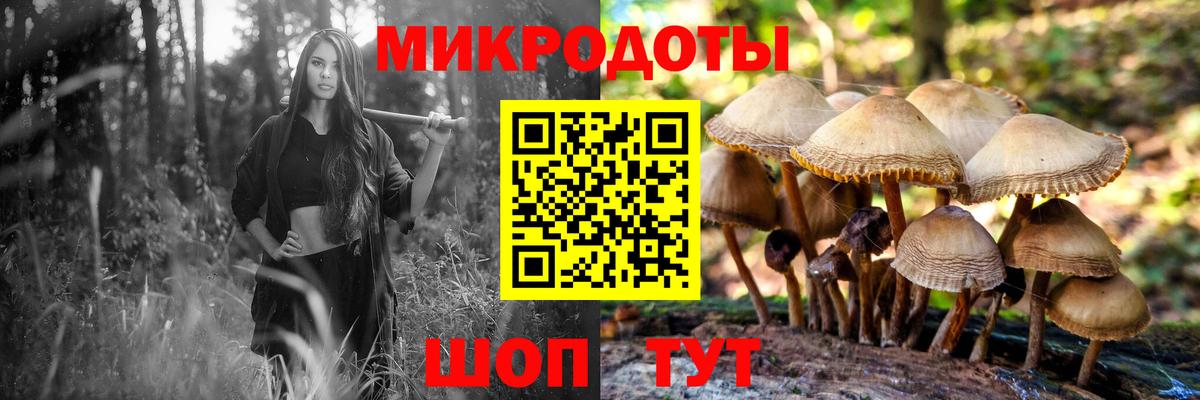 Псилоцибиновые грибы прущие грибы Славгород