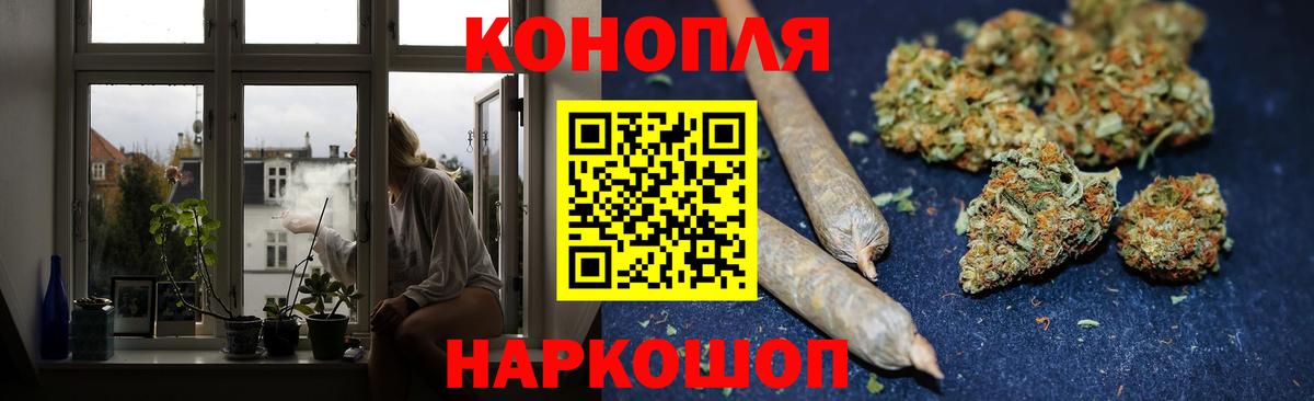 Канабис планчик Славгород